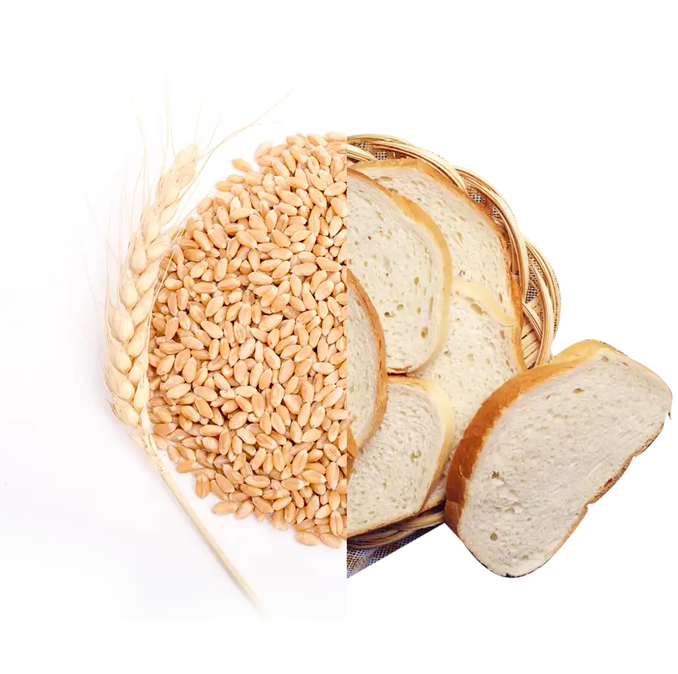 FORBLANC Beyaz Ekmeklik Buğday